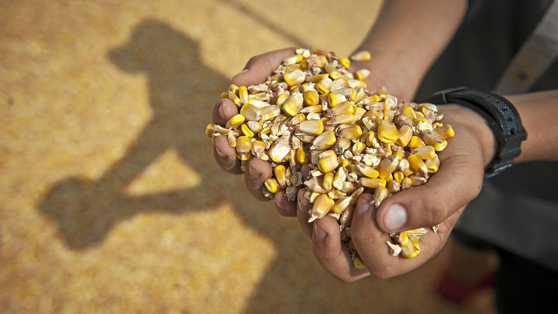 A thriving agricultural sector requires stability in Southern Africa