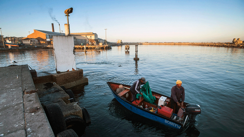 New app for small-scale fishing industry