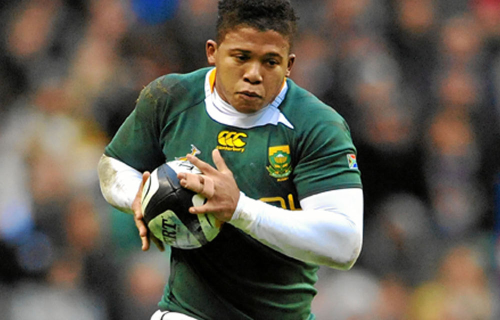 It’s Bok to the provinces