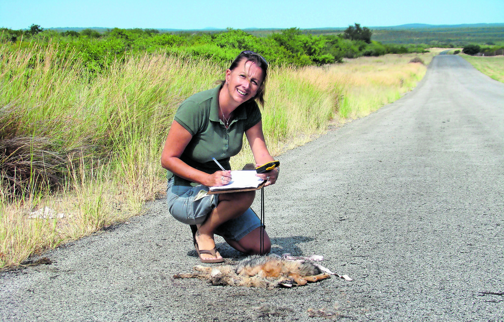 Protecting African wildlife