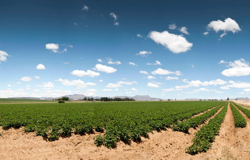 South Africa’s nationally determined contribution plan for climate change must be more ambitious, say nation’s youth