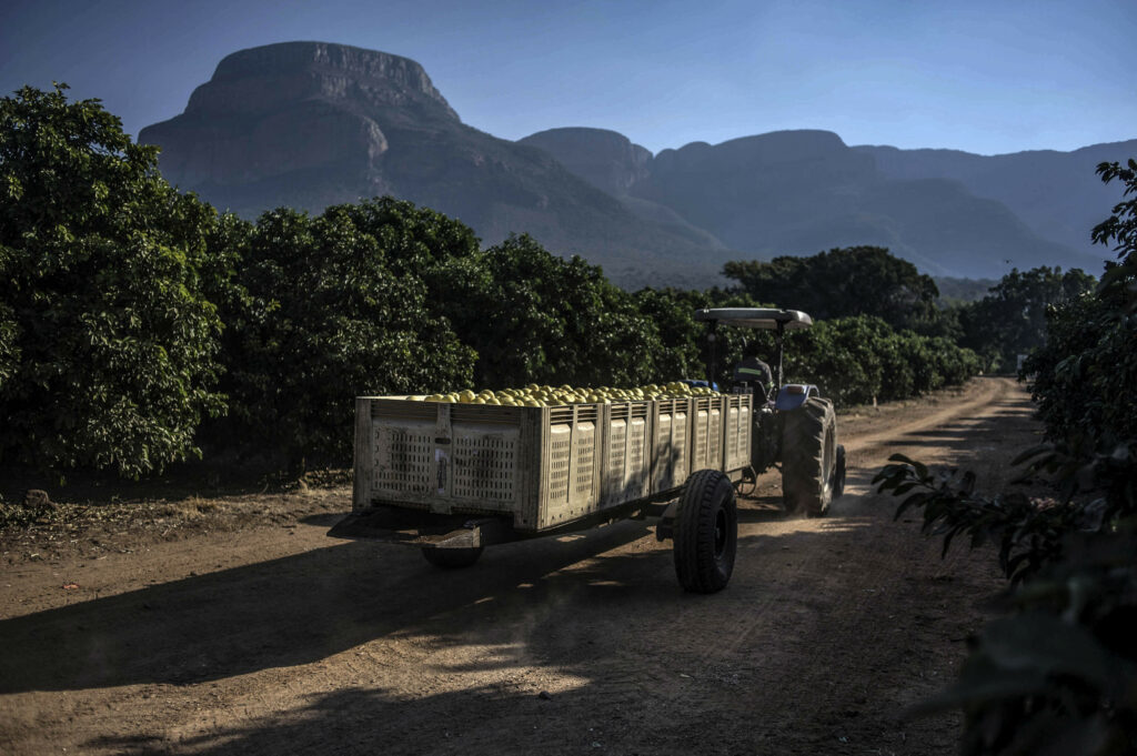 Agricultural sector can overcome effect of an Agoa exit