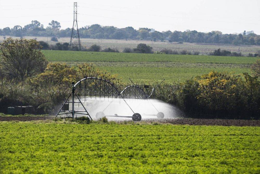 How the Expropriation Act can revitalise South Africa’s economy