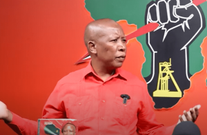 Malema Image