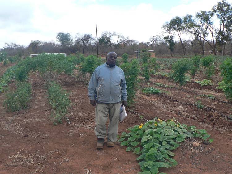 Farmers fear loss of land to Motsepe Foundation citrus project