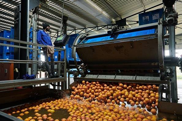 Citrus clash: South Africa takes on the EU’s tough new export rules