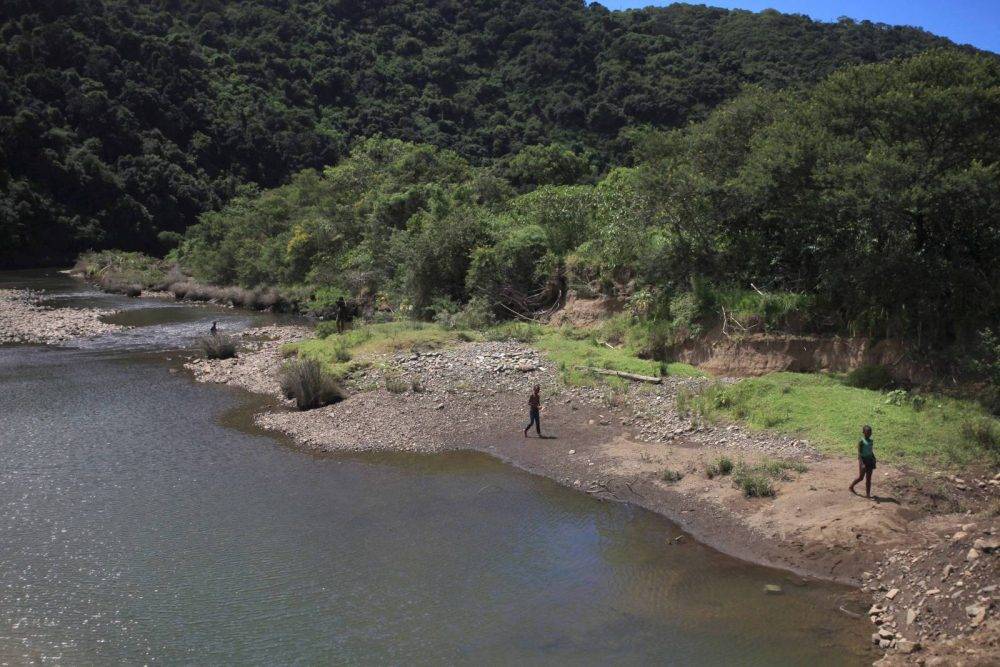 River Swimming 5361